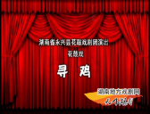 寻鸡