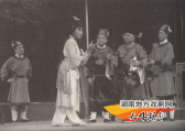 紫苏传